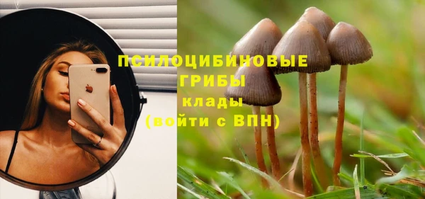 мескалин Арсеньев