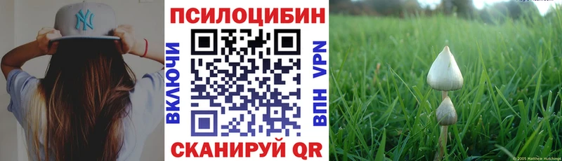 Галлюциногенные грибы мухоморы  закладка  дарк нет телеграм  Весьегонск 